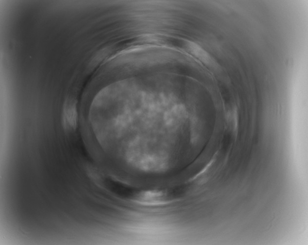 X0000088140158200706042016