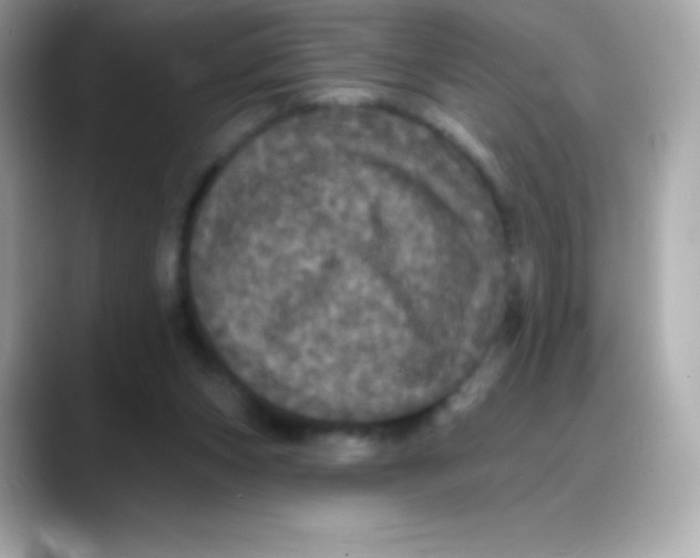 X0000088140159200706042016