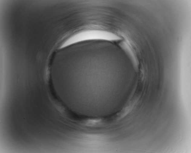 X0000088140160200706042016