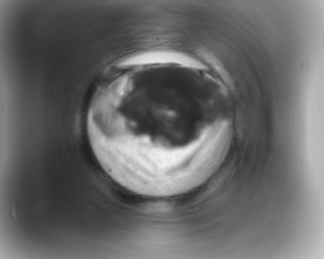 X0000088140161200706042016