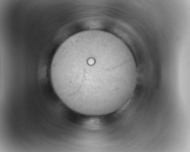 X0000088140162200706042016