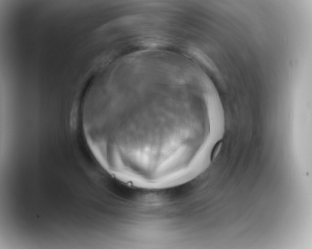 X0000088140163200706042016