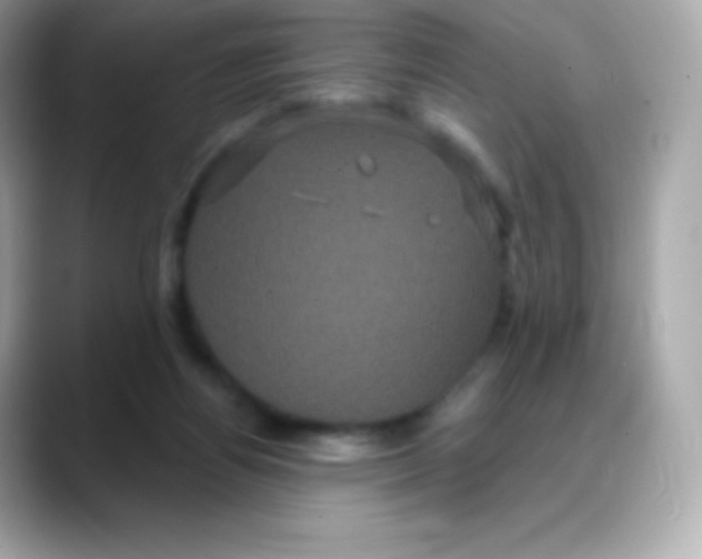 X0000088140164200706042016