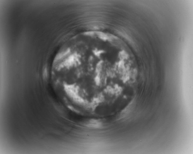 X0000088140166200706042016