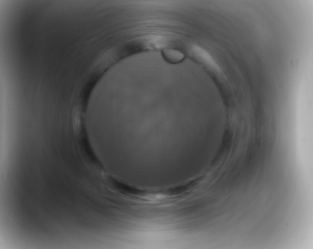 X0000088140169200706042016