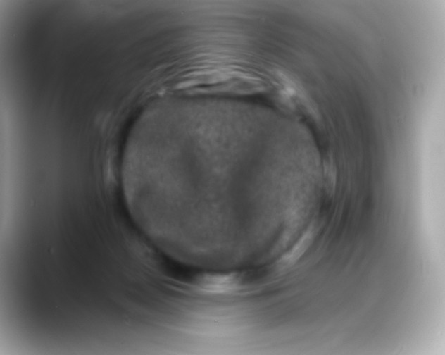 X0000088140170200706042016