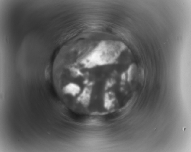 X0000088140175200706042016