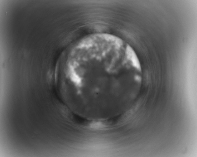 X0000088140177200706042016