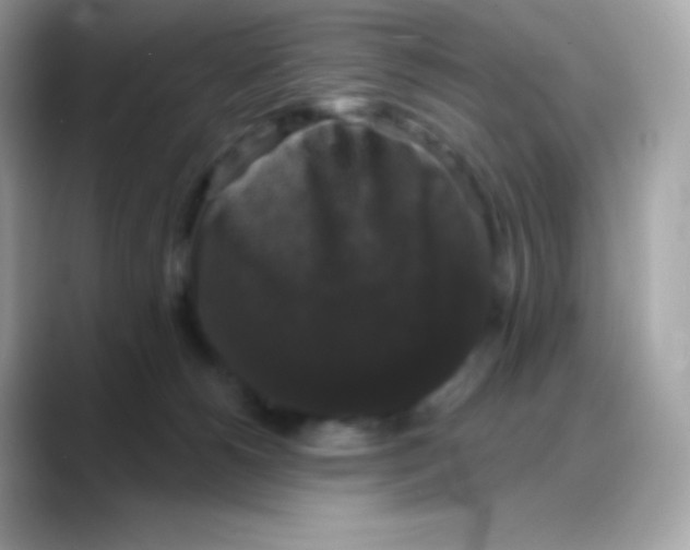 X0000088140180200706042016