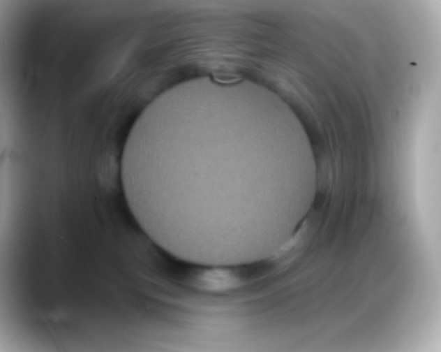 X0000088140183200706042016