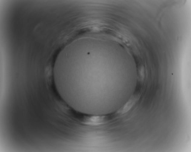 X0000088140184200706042016