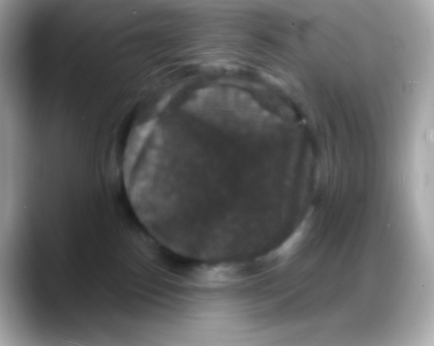 X0000088140186200706042016