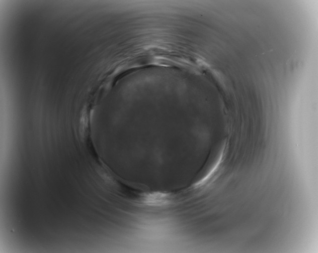 X0000088140192200706042016