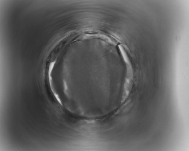 X0000088140194200706042016