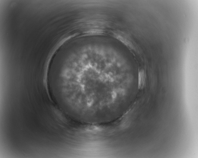 X0000088140195200706042016