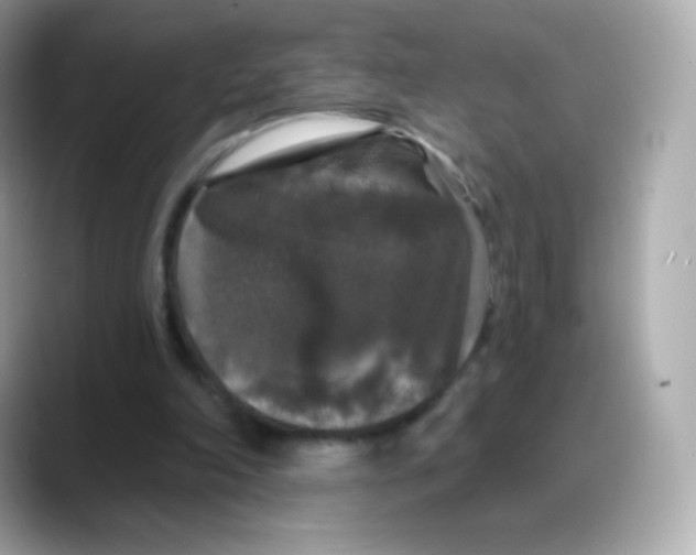 X0000088140198200706042016