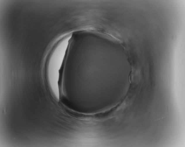 X0000088140200200706042016