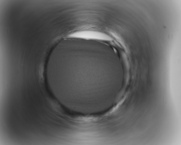 X0000088140201200706042016