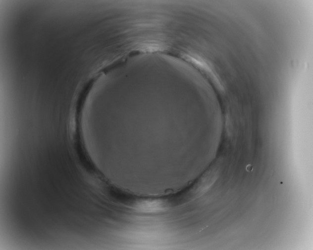 X0000088140202200706042016