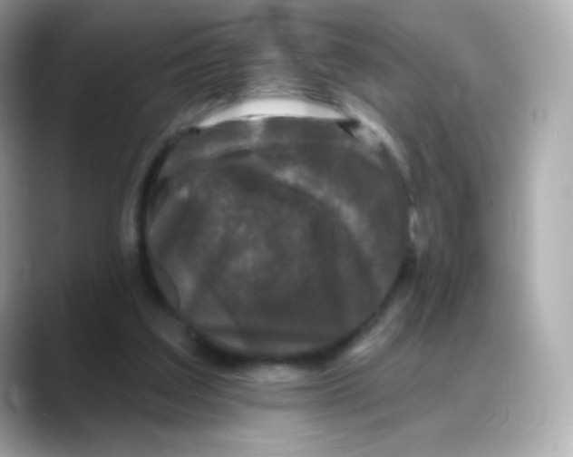 X0000088140203200706042016