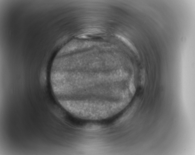 X0000088140207200706042015