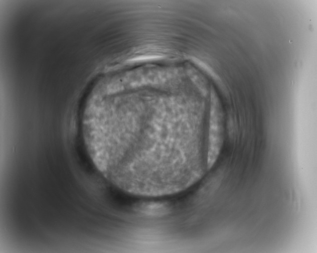 X0000088140208200706042015