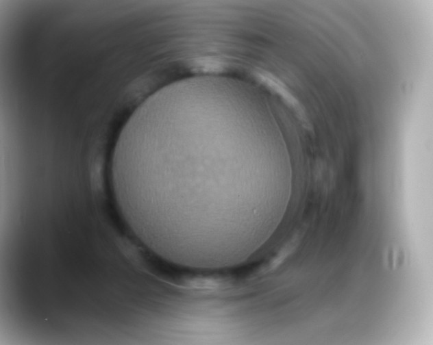 X0000088140209200706042015