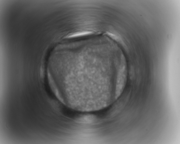 X0000088140210200706042015