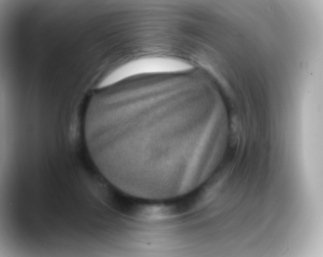 X0000088140212200706042015