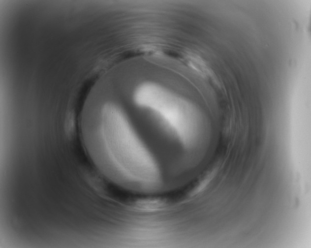 X0000088140213200706042015