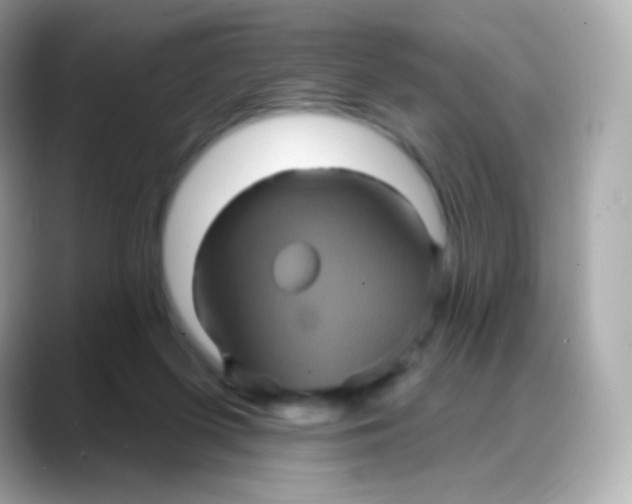 X0000088140215200706042015