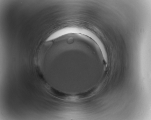 X0000088140217200706042015