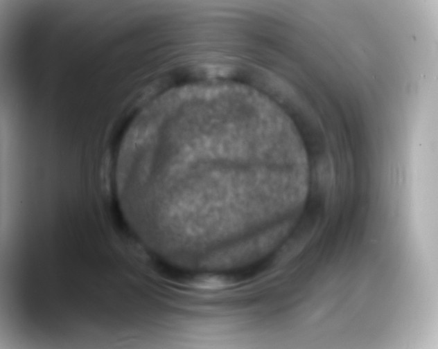 X0000088140218200706042015