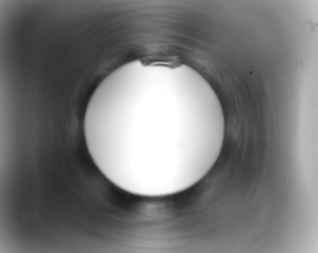 X0000088140220200706042015