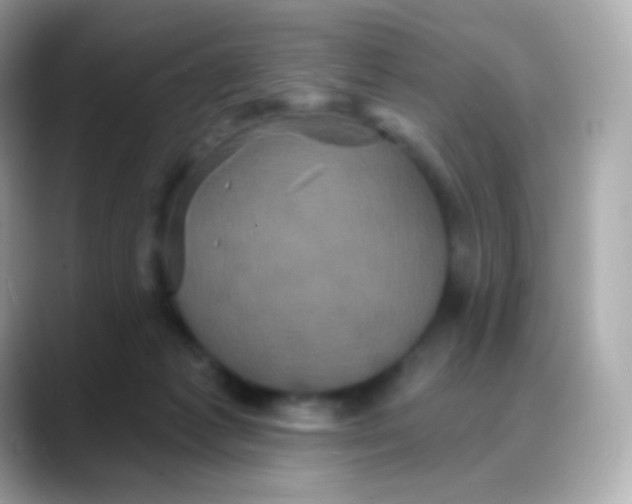 X0000088140221200706042015