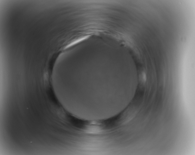 X0000088140222200706042015