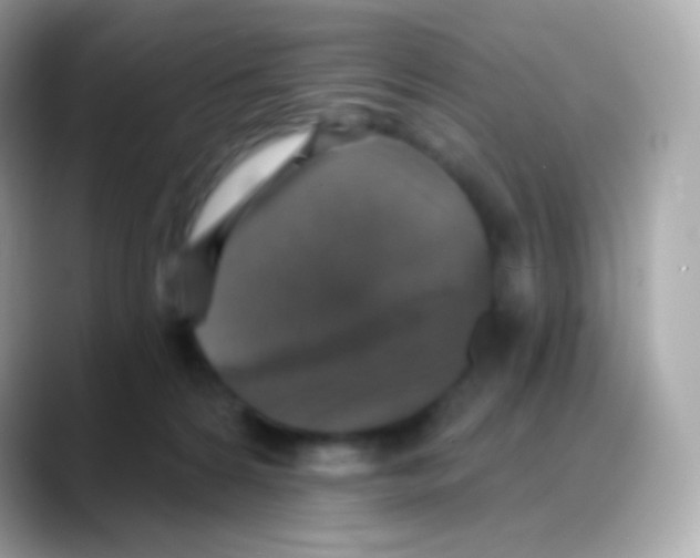 X0000088140224200706042015