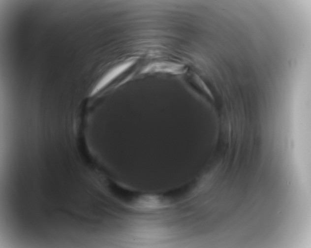 X0000088140227200706042015