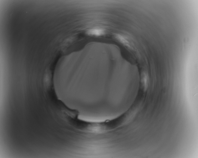 X0000088140231200706042015