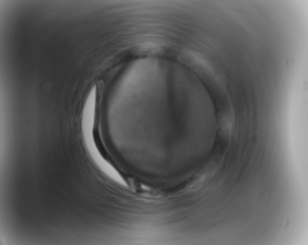 X0000088140232200706042015