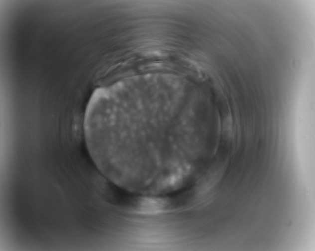 X0000088140234200706042015