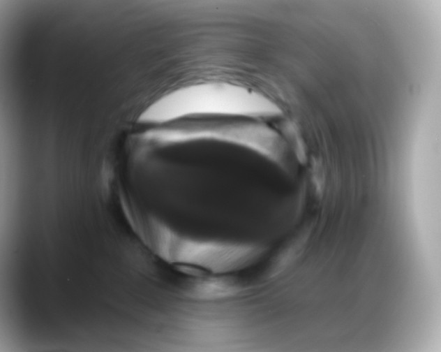 X0000088140235200706042015