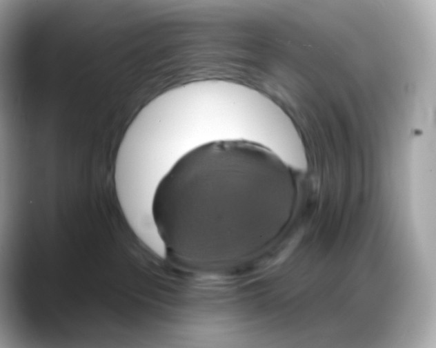 X0000088140237200706042015