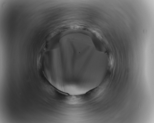 X0000088140239200706042015