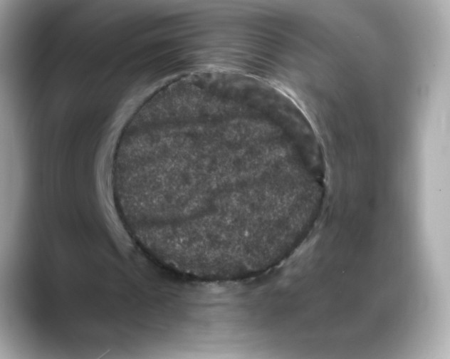 X0000088140241200706042014