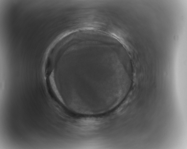 X0000088140244200706042014