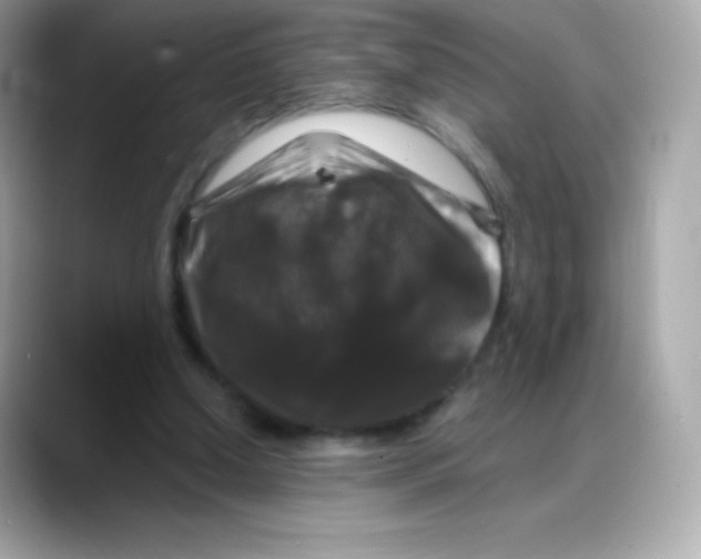 X0000088140250200706042015