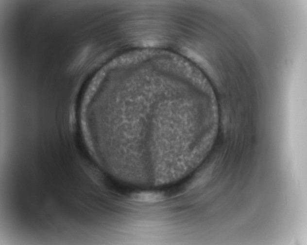 X0000088140251200706042015