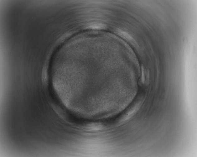 X0000088140252200706042015