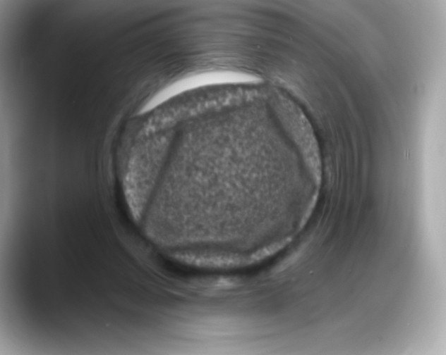 X0000088140254200706042015